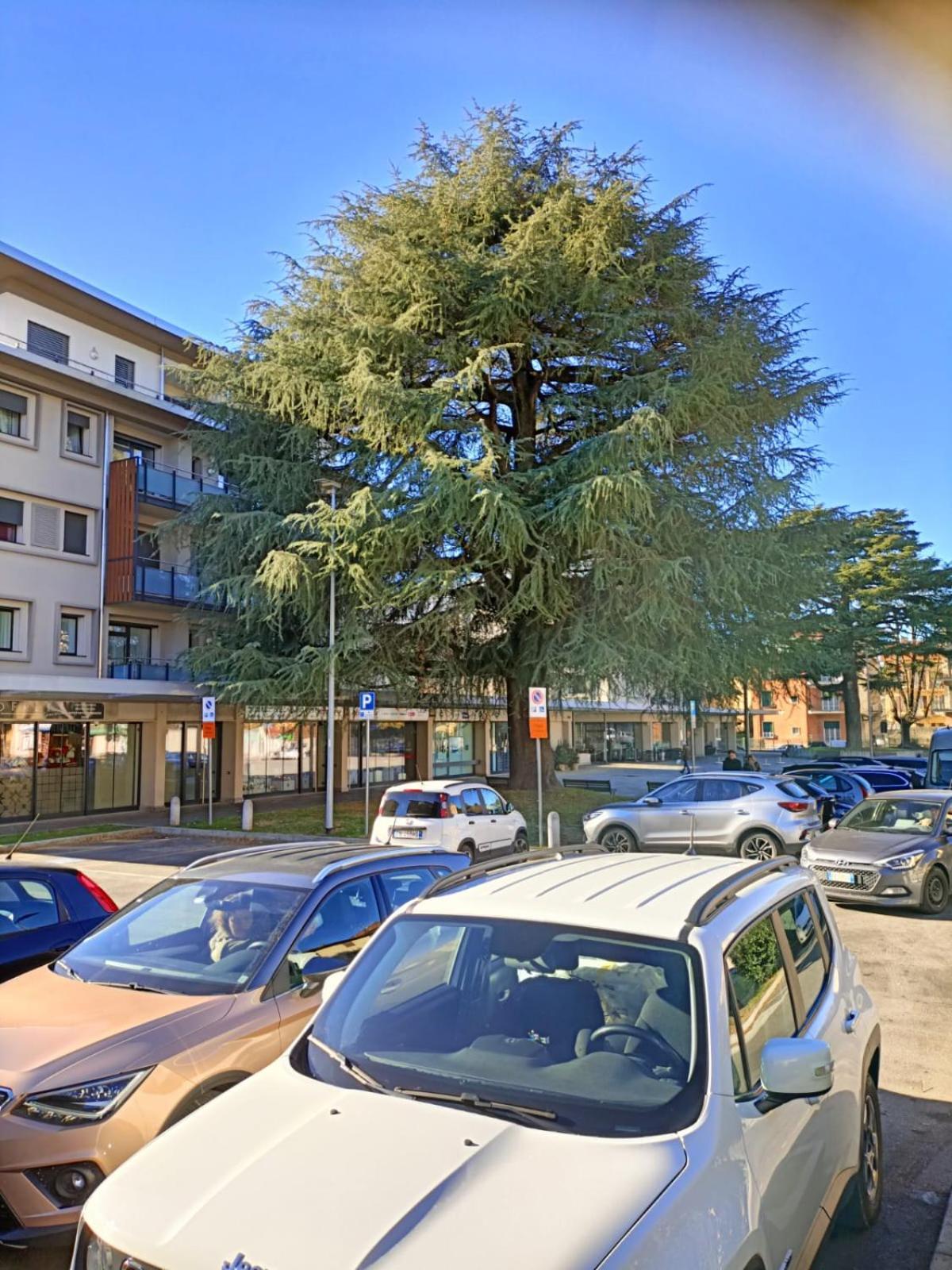 Rory House - Como Bagian luar foto